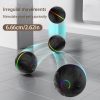 8817a1e4-9ff4-40c5-a490-ea1684bf9283.jpg Interactive Dog Ball – 5 Exciting Reasons Dogs Love GravityJump™