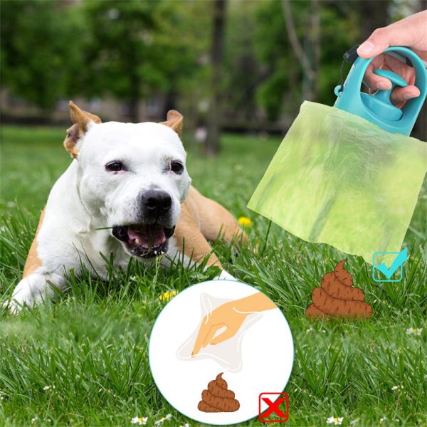PetLuvly Premium Pet Care Branding & Feline Collection Assets