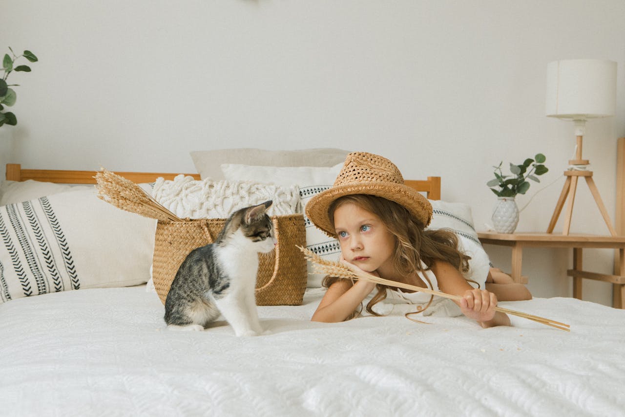 Child playing with a cat on a bed at home – happy pet lifestyle and bonding moments