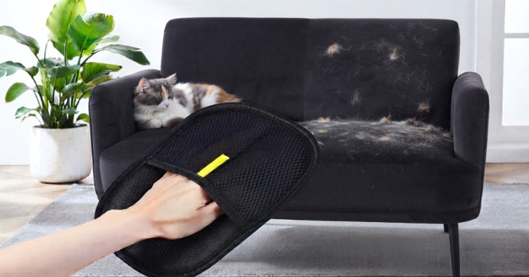 Before and after demonstration of a grooming mitt removing dense pet fur from a velvet sofa.